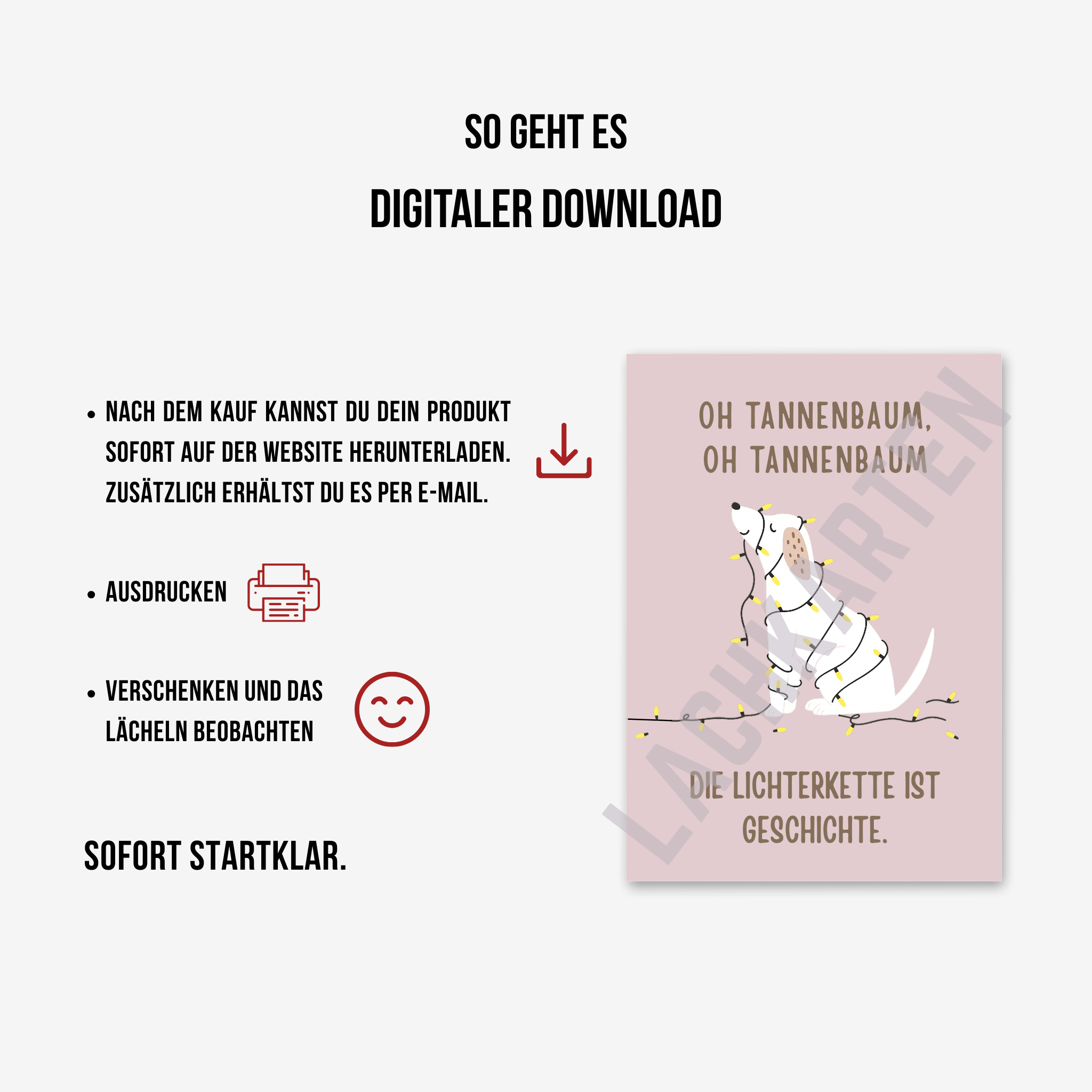 Hund mit Lichterkette...