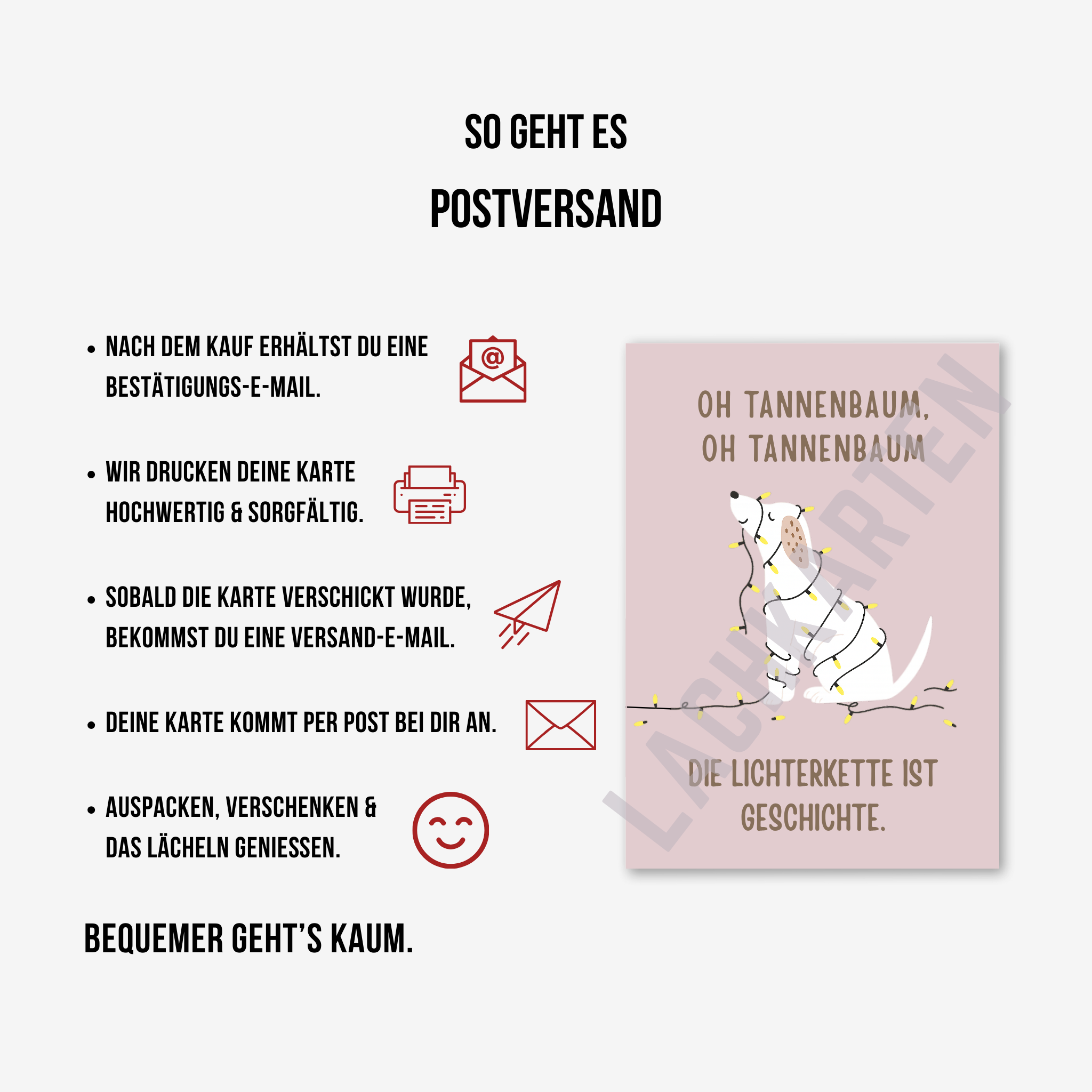 Hund mit Lichterkette...